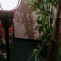莫加文 - 水稻之父 · 歌(原版伴奏)