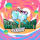 White Rabbit (Marcel Dettmann and Gabriel Mounsey Remix)