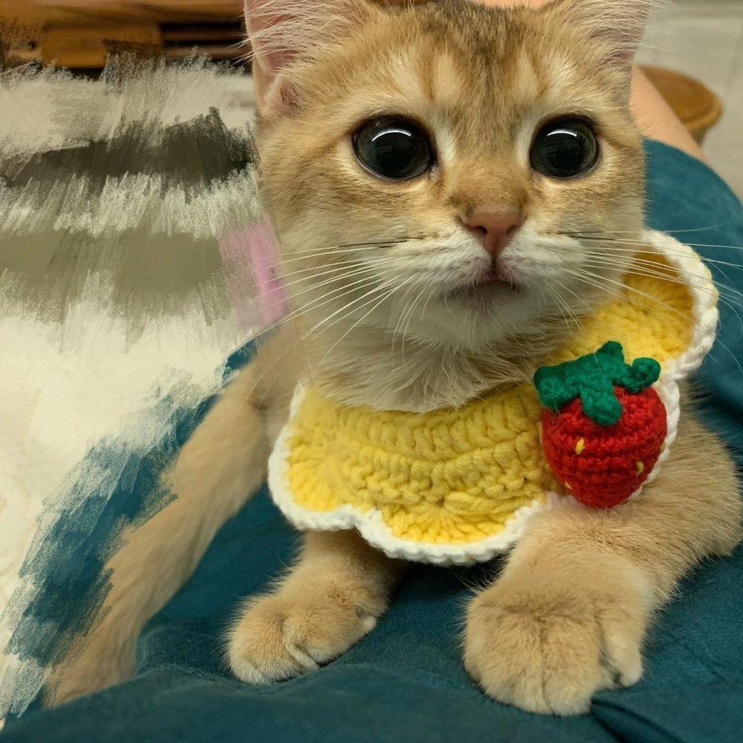 你就不要想起我