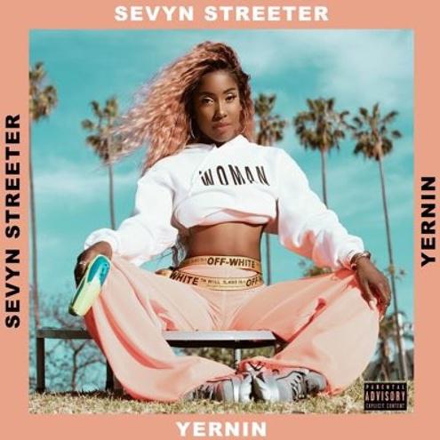 sevyn streeter shoulda been there pt. 14