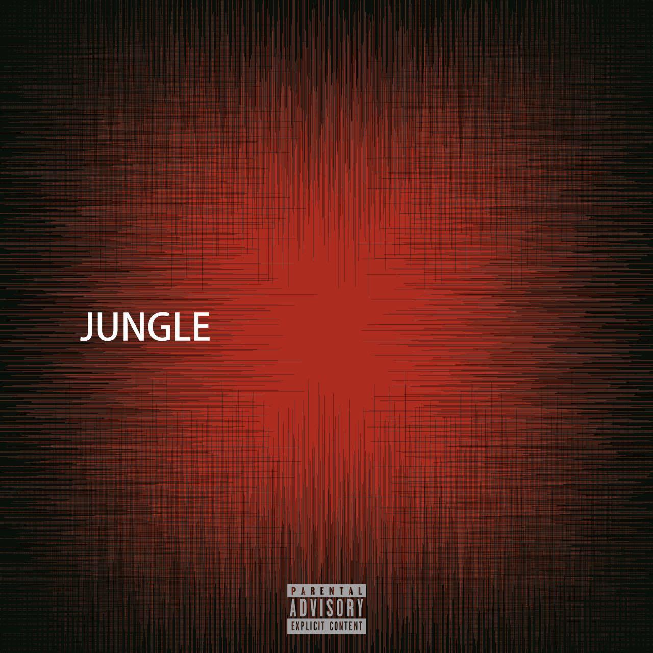 JUNGLE（伴奏）专辑