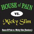 Jump Around (Micky Slim Shamrocks & Shenanigans Remix)