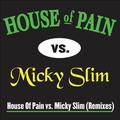 Jump Around (Micky Slim Shamrocks & Shenanigans Remix)