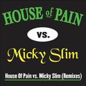 Jump Around (Micky Slim Shamrocks & Shenanigans Remix)专辑