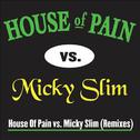 Jump Around (Micky Slim Shamrocks & Shenanigans Remix)专辑