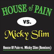 Jump Around (Micky Slim Shamrocks & Shenanigans Remix)