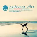 nature vibe 0'03专辑