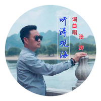 张涛 - 听涛观海(原版立体声伴奏)