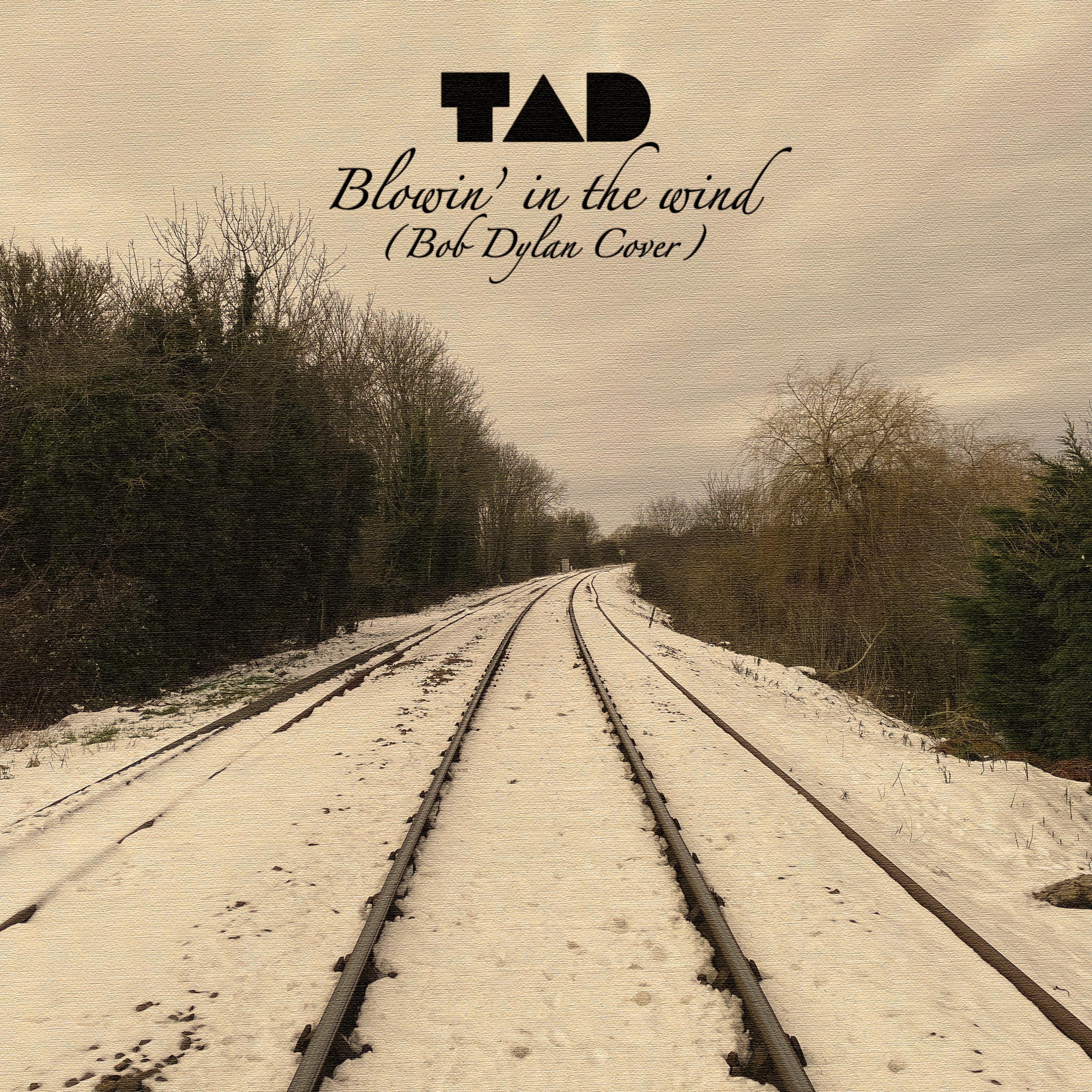 Blowin' In The Wind (feat. Samuel David John Holmes)