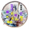 2019最好听中文DJ舞曲专辑