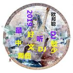 2019最好听中文DJ舞曲专辑