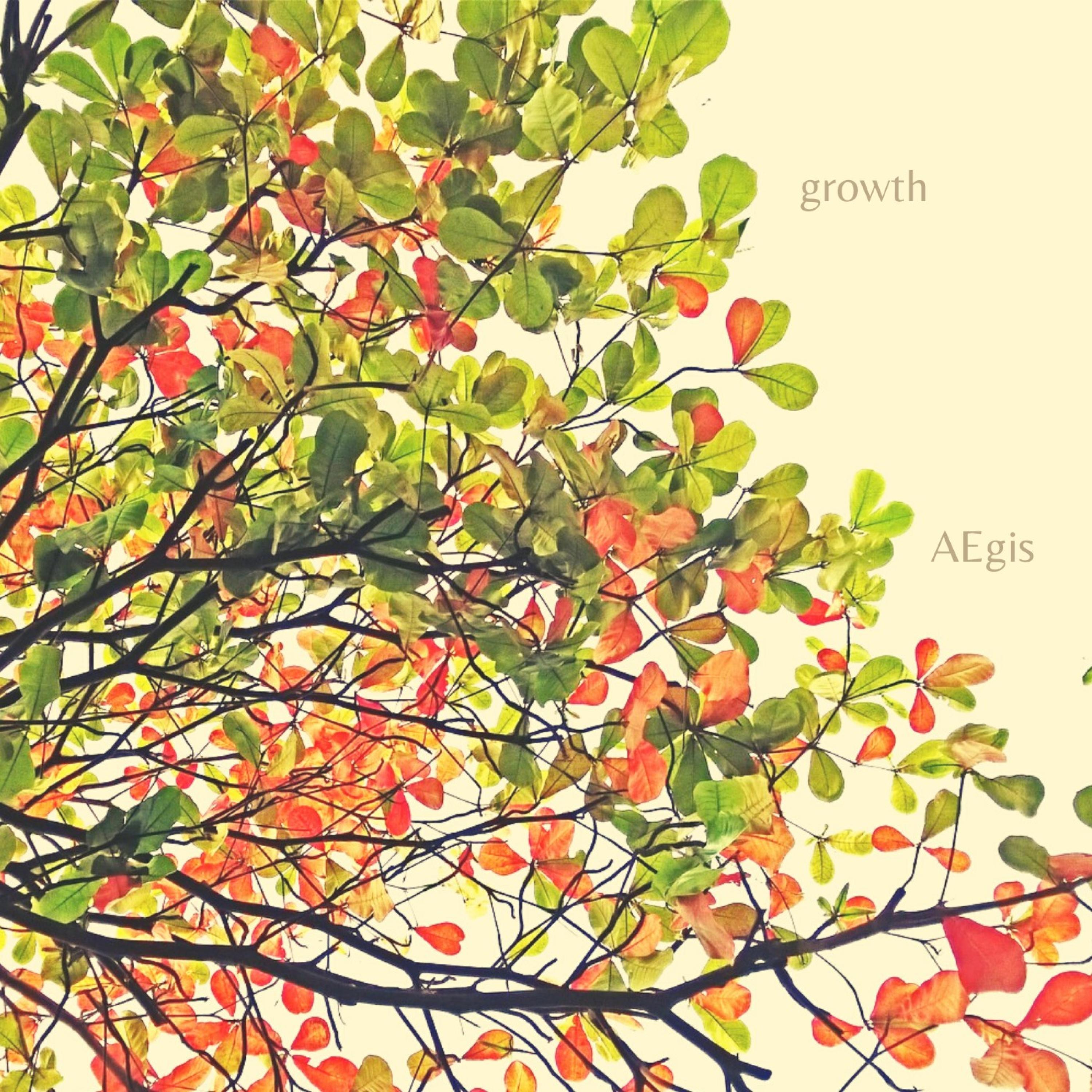 growth