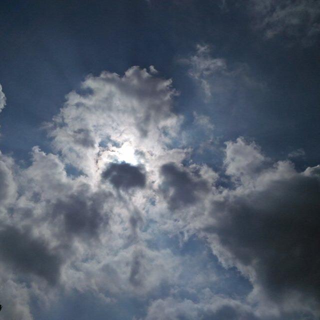 GAI周延-沧海一声笑（Octopus杰 remix）