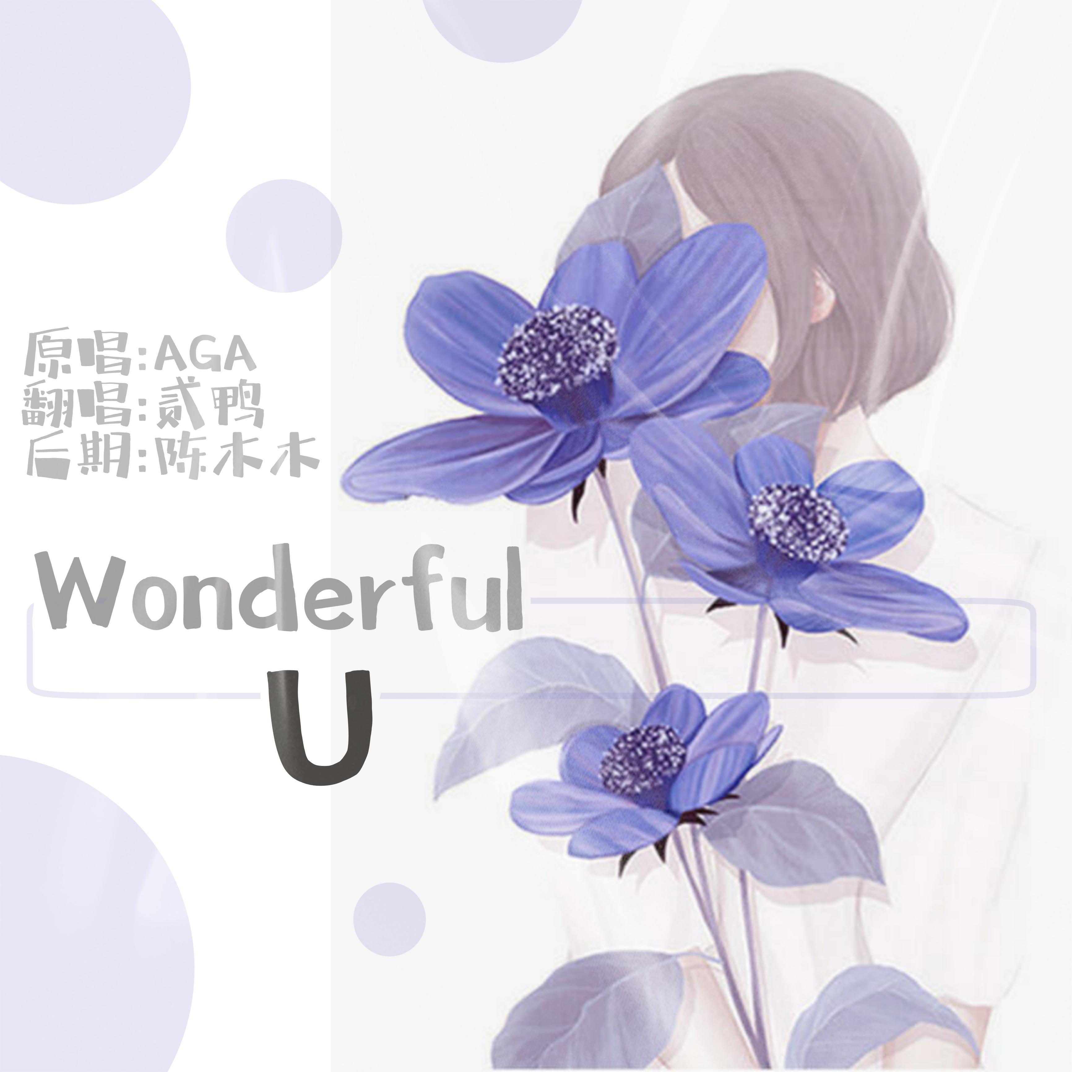 Wonderful U