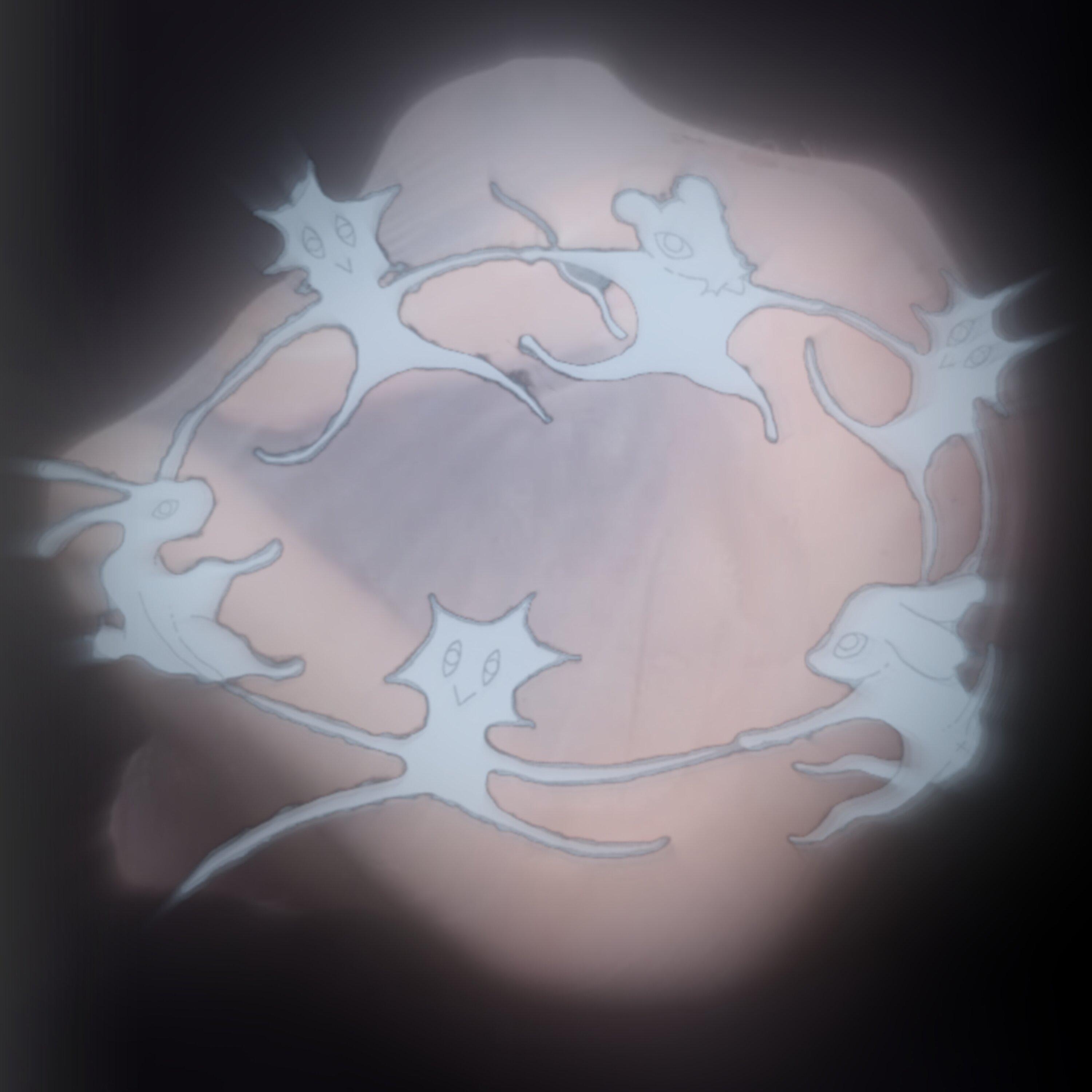 No va así (feat. prod.willie)