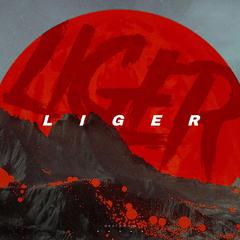 LIGER（下山）