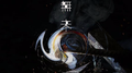 无未专辑