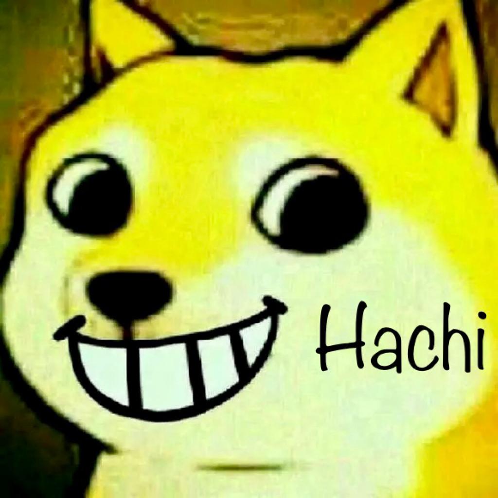 Hachi