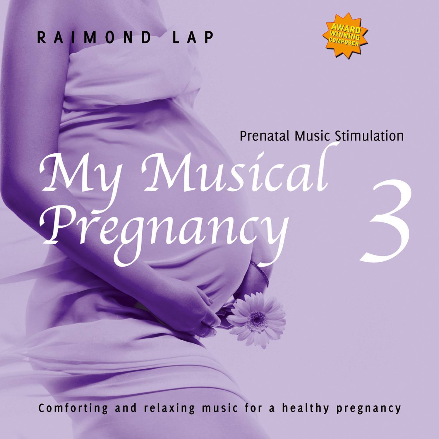 My Musical Pregnancy 3专辑
