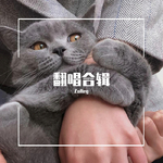 翻唱专辑