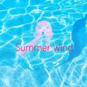 Summer Wind专辑