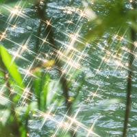 青鸢Aurora - 别来无恙