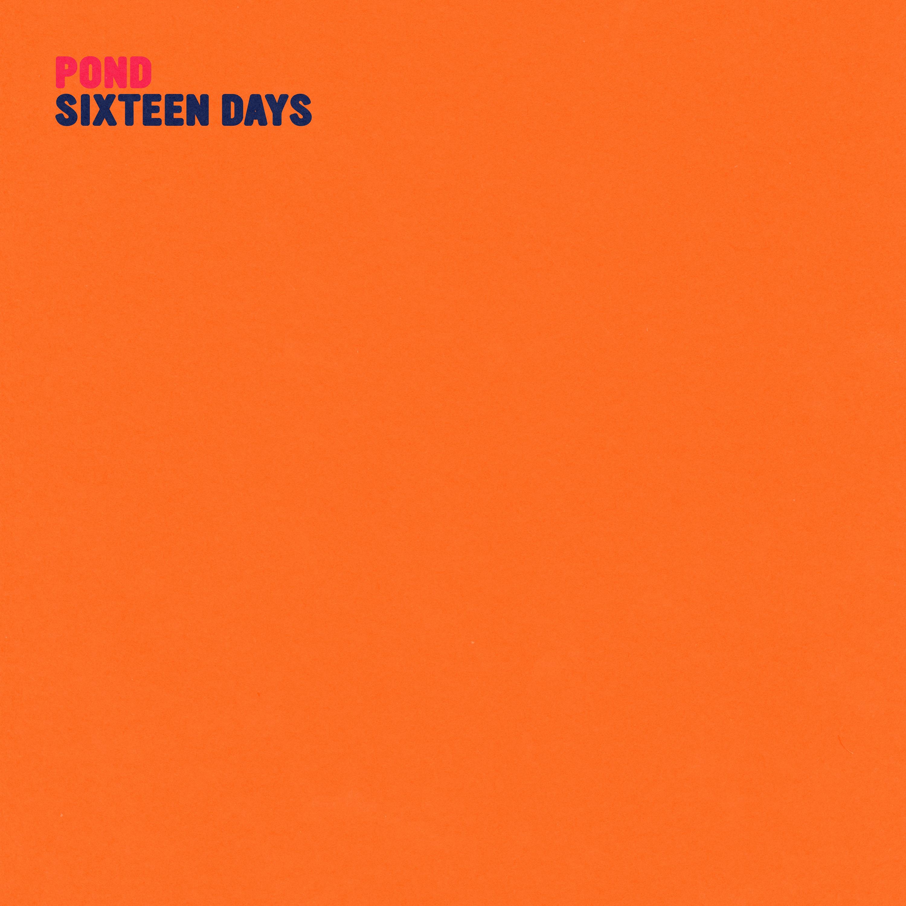 Sixteen Days