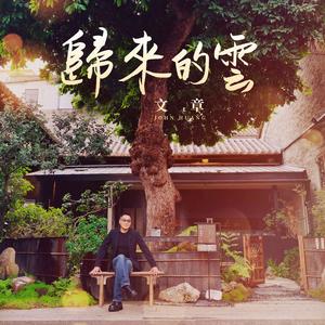 归来的云