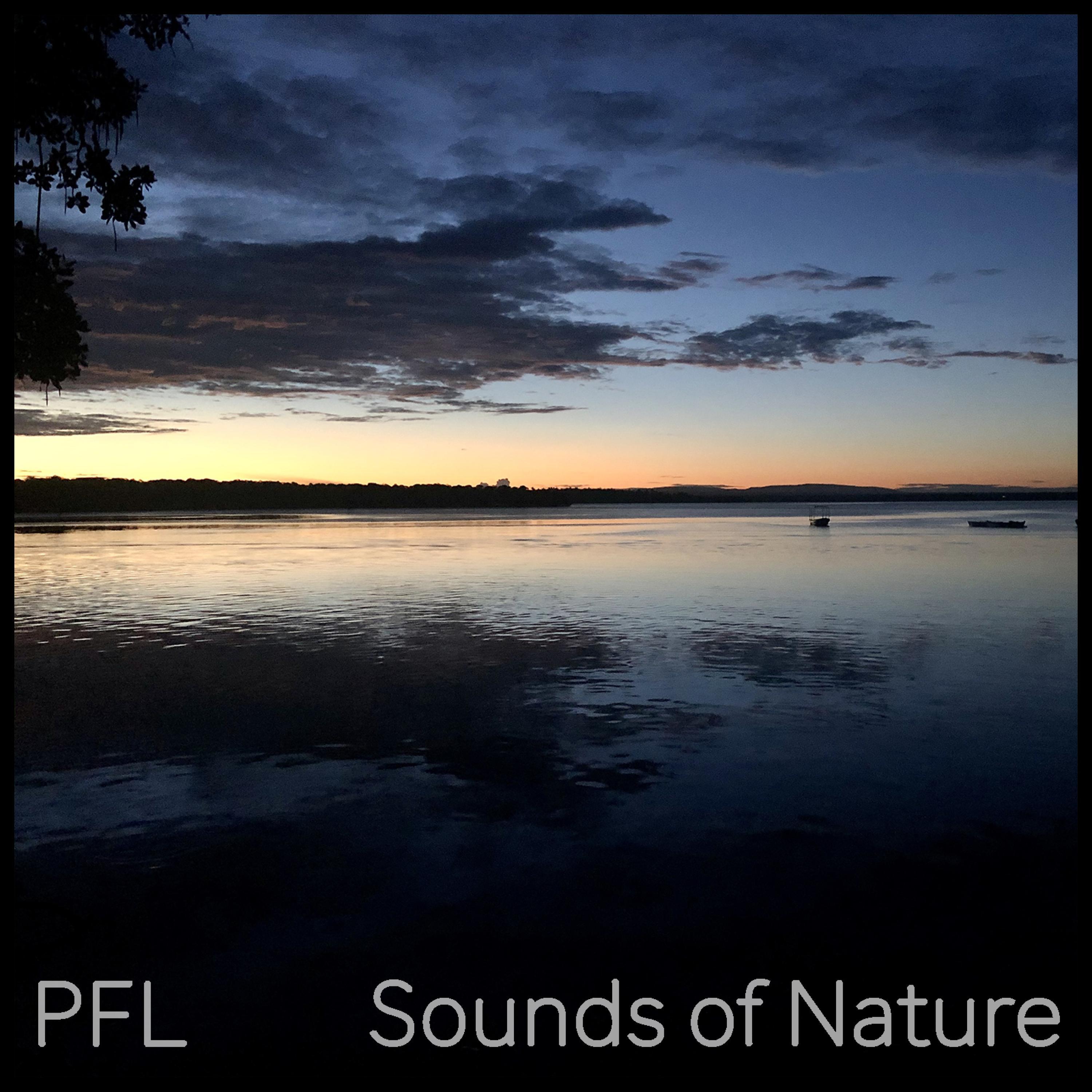 Sounds of Nature