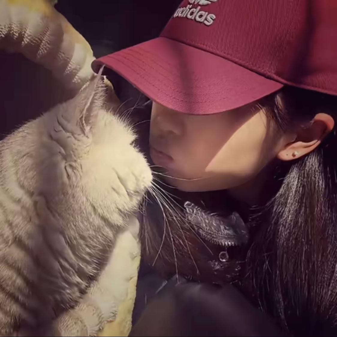 心之所向