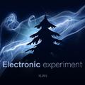 Electronic experiment