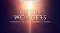 Little Wonders专辑