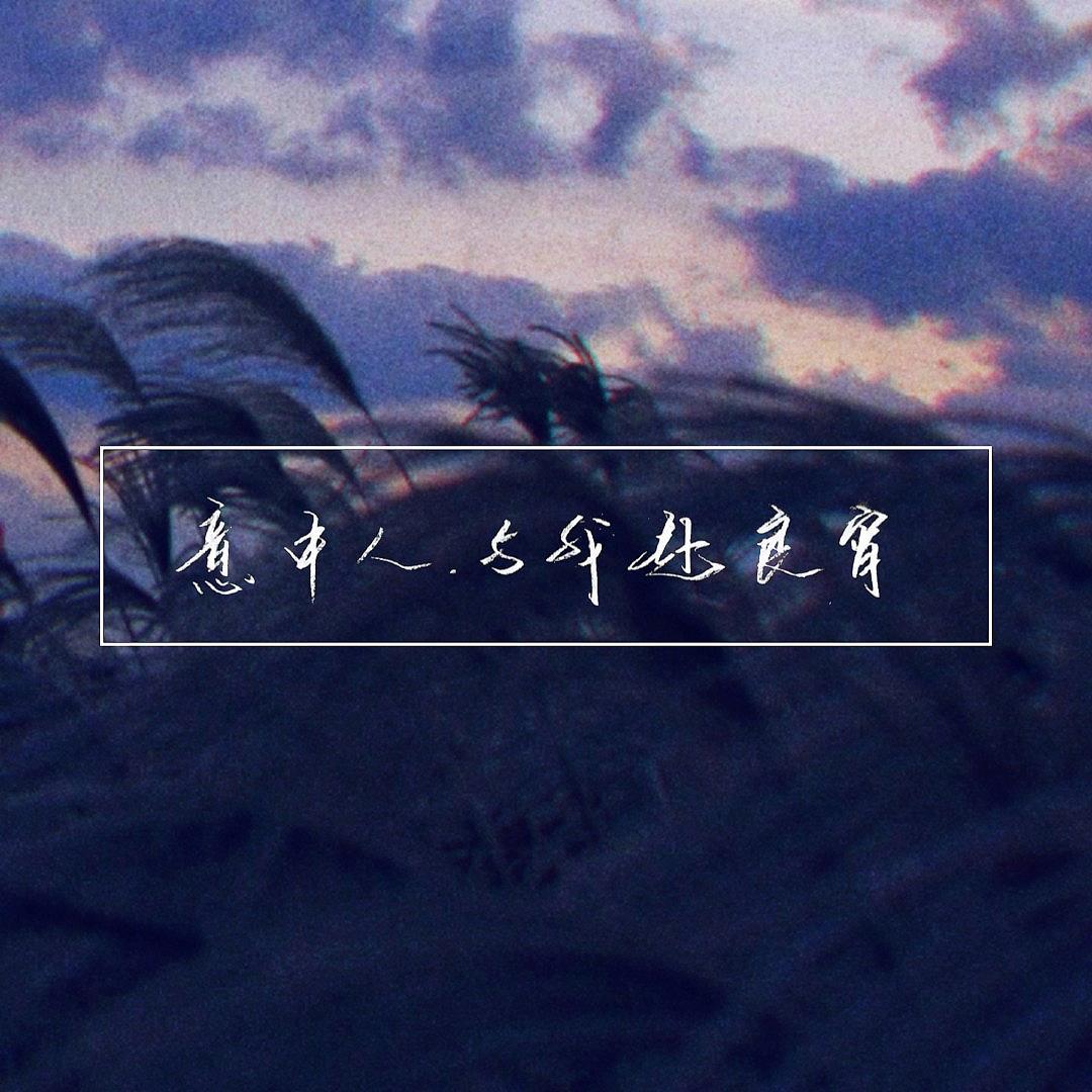 孽海记（Cover黄诗扶）