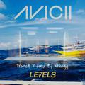 Avicii-Levels（Wthegg Bootleg）