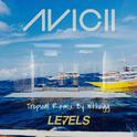 Avicii-Levels（Wthegg Bootleg）专辑