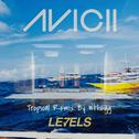 Avicii-Levels（Wthegg Bootleg）