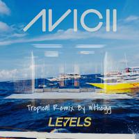 Avicii - Levels (piano Instrumental)