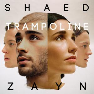 Trampoline (Lower Key) - SHAED & ZAYN (钢琴伴奏) （降2半音）