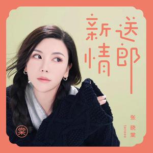 张晓棠-新送情郎(DJ阿卓版) 伴奏