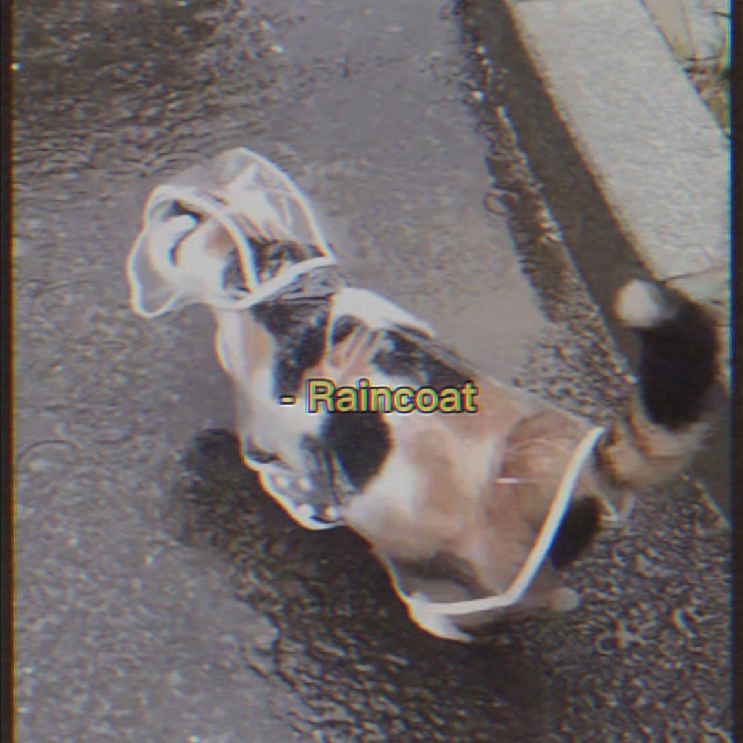 You - My Raincoat