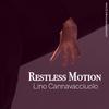 Lino Cannavacciuolo - Restless Motion (Contemporary Dance Edition)