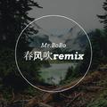 春风吹remix