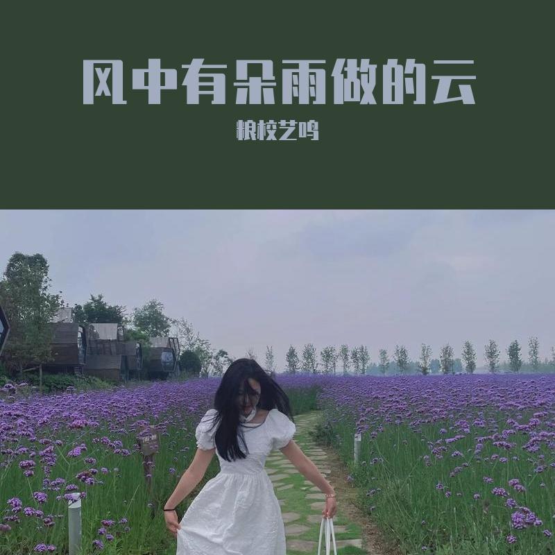 风中有朵雨做的云