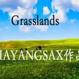 Grasslands