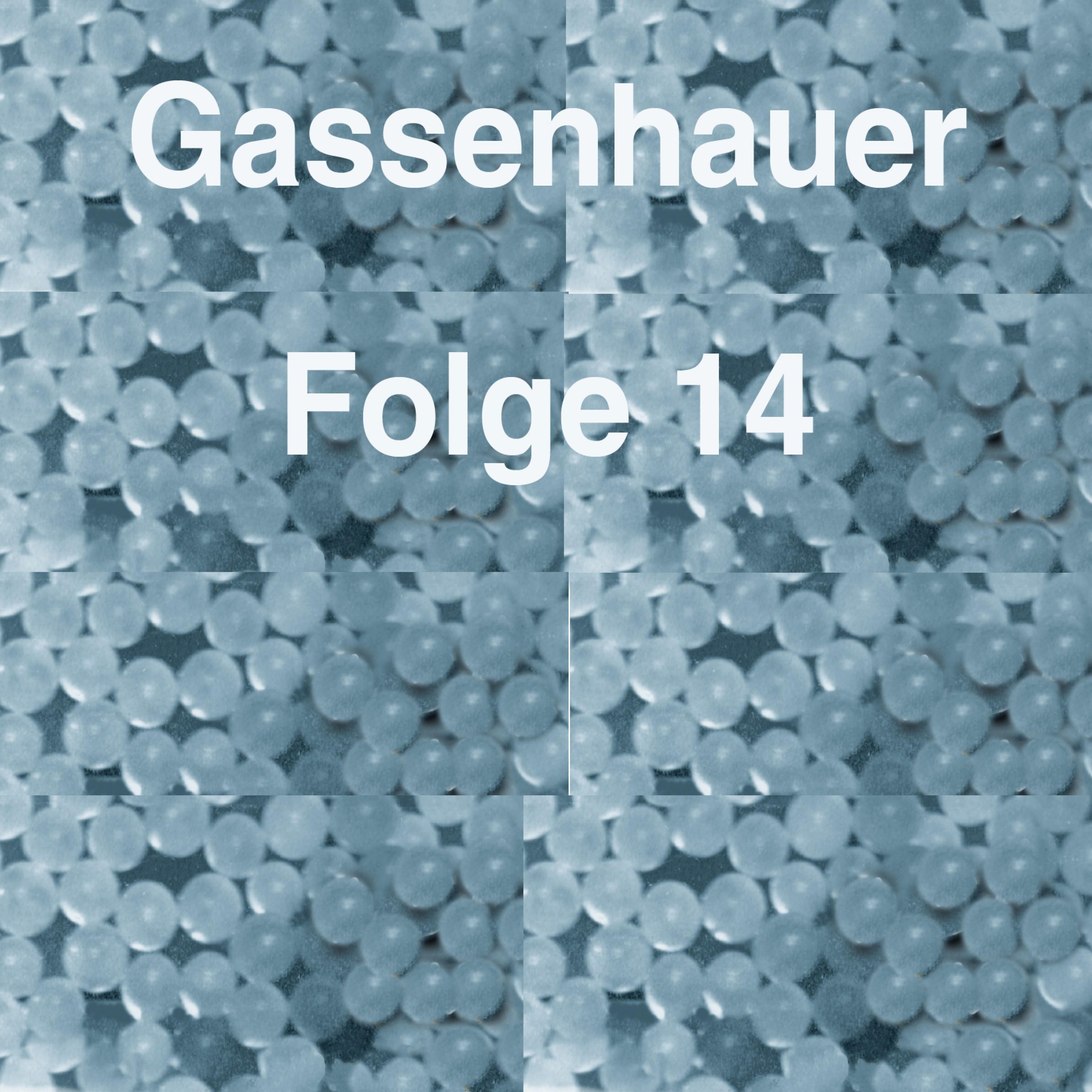 Gassenhauer Vol. 14