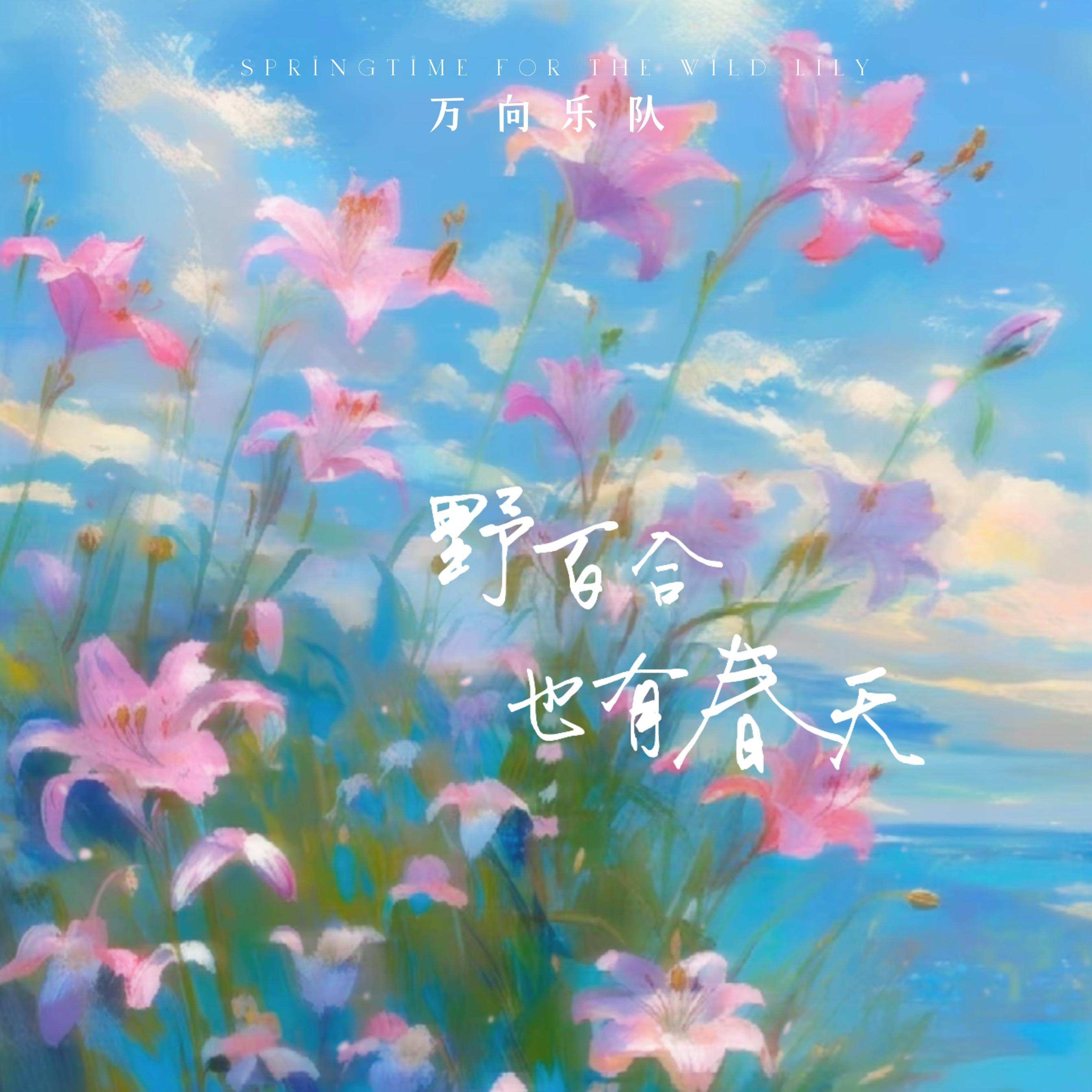 野百合也有春天 (DJ小硕版)