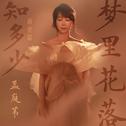梦里花落知多少（前世篇）专辑