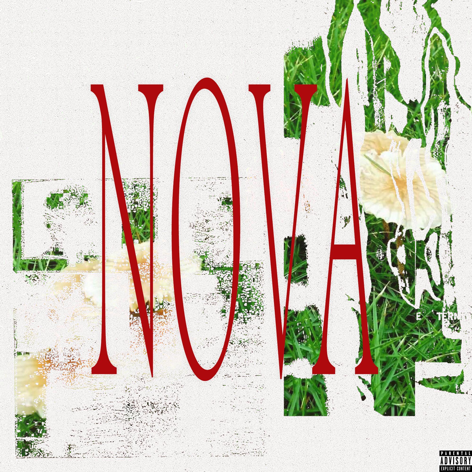 NOVA 诺娃