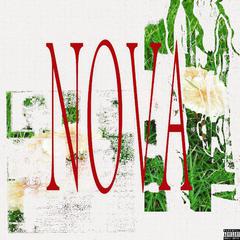 NOVA 诺娃