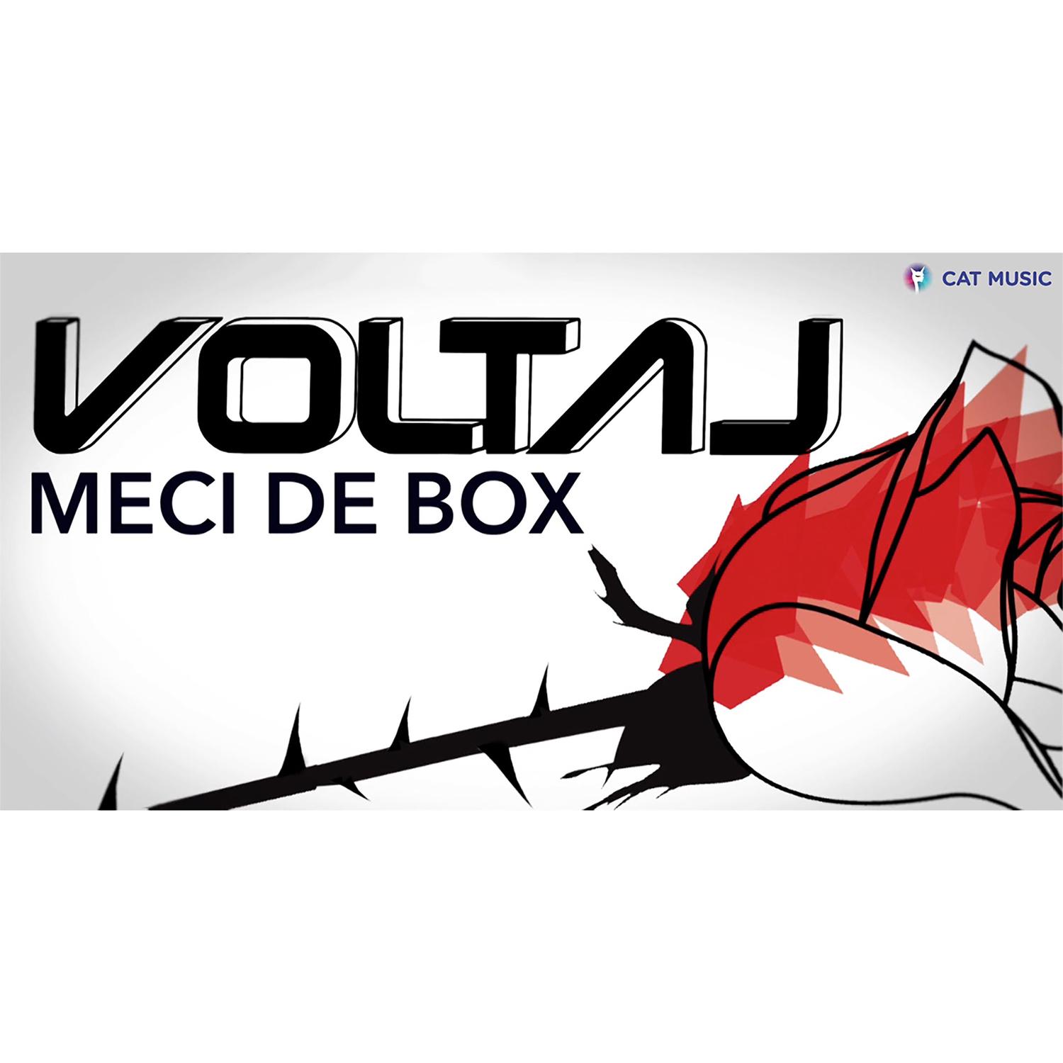 Meci de box